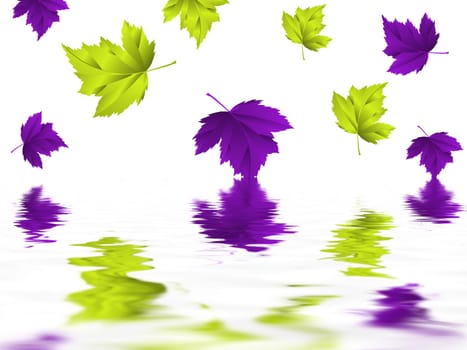 Leaf