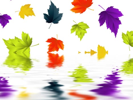 Leaf
