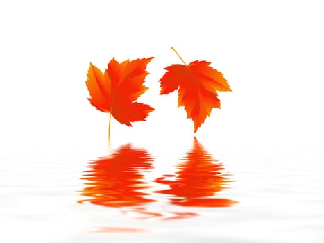 Leaf