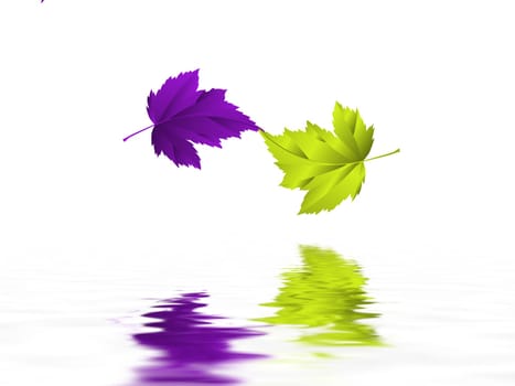 Leaf