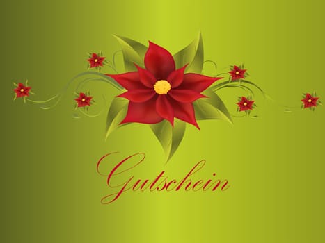 poinsettia
