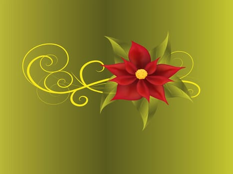 poinsettia