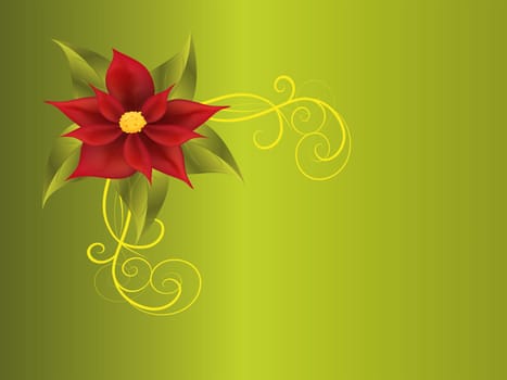 poinsettia