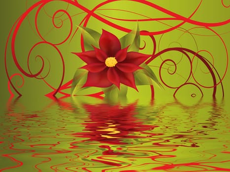 poinsettia