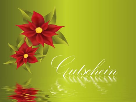 poinsettia