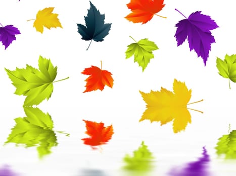 Leaf