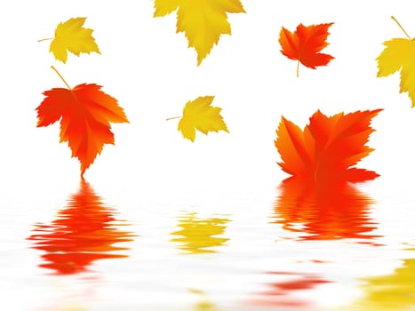 Leaf