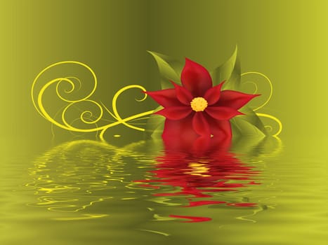 poinsettia