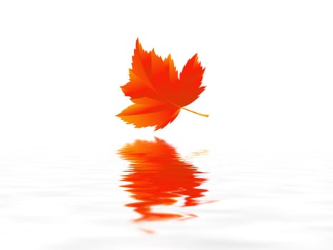 Leaf