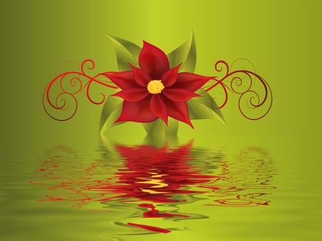 poinsettia