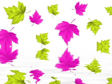 Leaf
