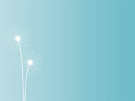 Dandelion