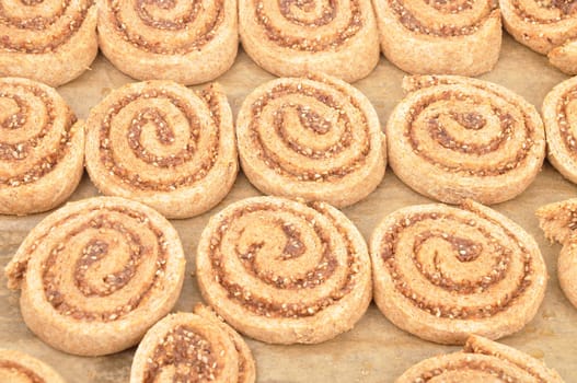Hazelnut snails