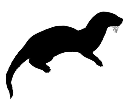 Otter