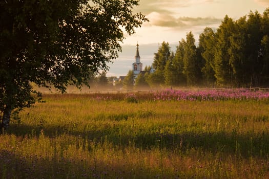 rural summer landscape with field of flowers in foreground and church in forest