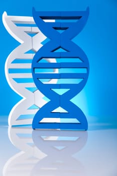 DNA molecules, Laboratory
