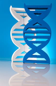 DNA molecules