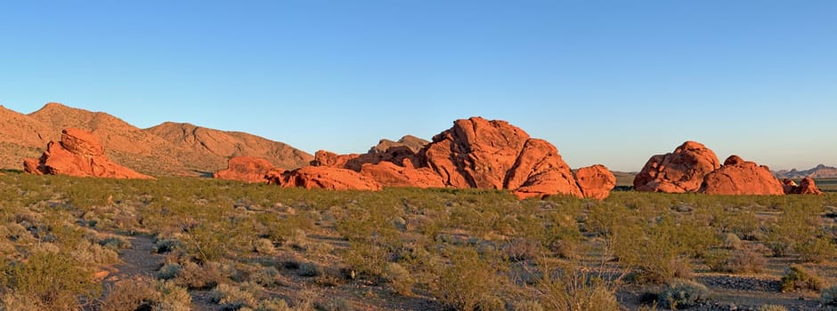 Valley of Fire in the morning light