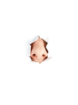 woman nose peeping out from white torn paper