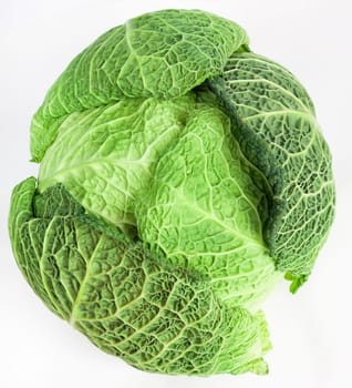 green savoy on white background