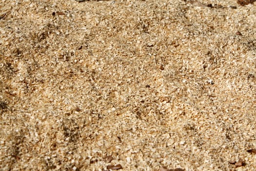Sawdust