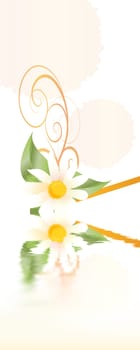 Spring Greetings