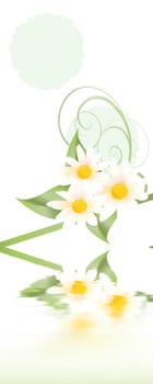 Spring Greetings