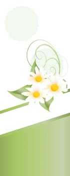 Spring Greetings