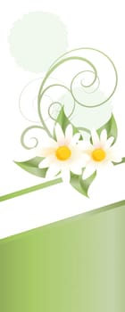 Spring Greetings