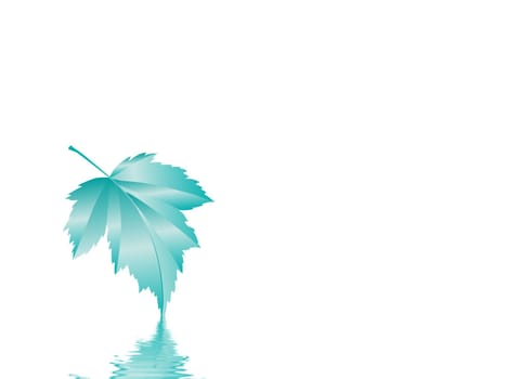Leaf