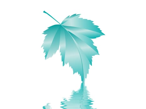 Leaf