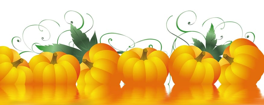 Pumpkin