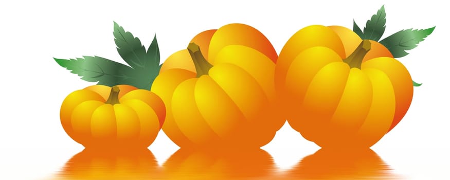 Pumpkin