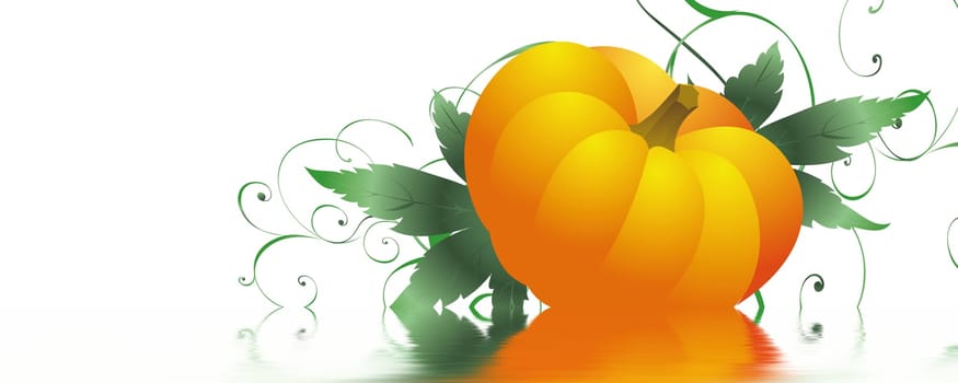 Pumpkin