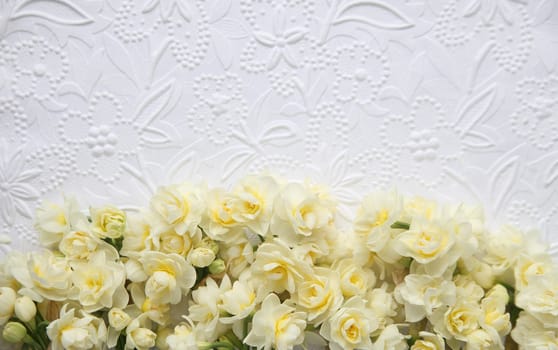 fresh spring narcissus flowers on lower portion of white embossed art paper background