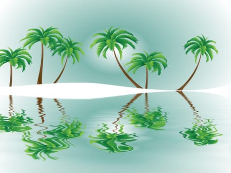 Tropical Dreams
