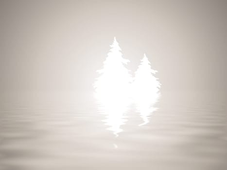 Fir tree