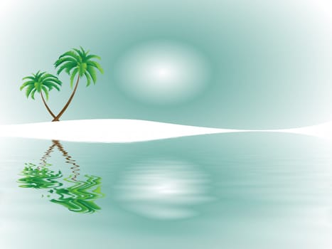 Tropical Dreams