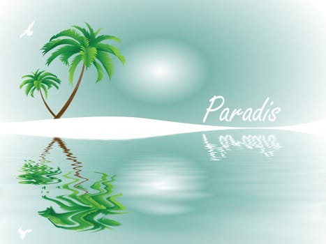 Tropical Dreams