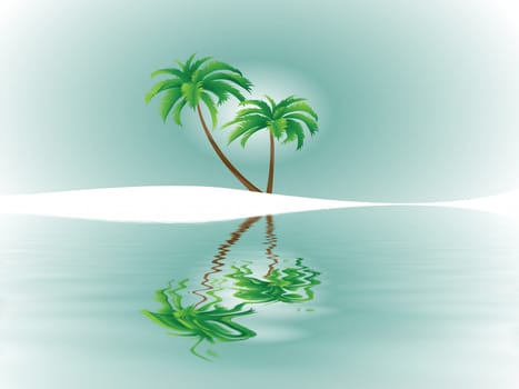 Tropical Dreams