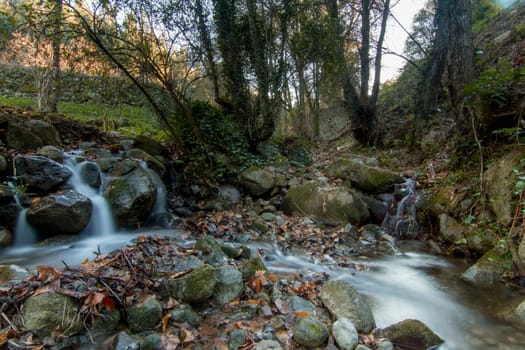 Beautiful view of a fresh flowing creek in a healthy forest.