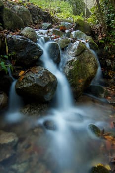 Beautiful view of a fresh flowing creek in a healthy forest.