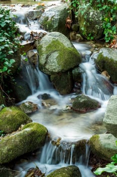 Beautiful view of a fresh flowing creek in a healthy forest.