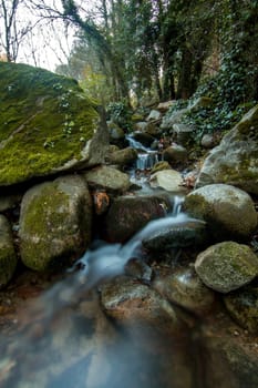 Beautiful view of a fresh flowing creek in a healthy forest.
