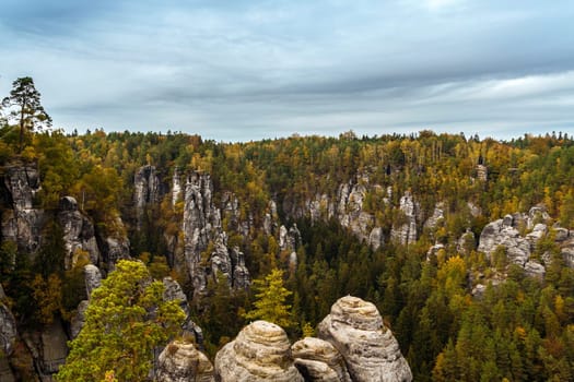 Saxony