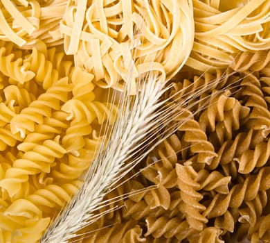 set of different pasta, close-up