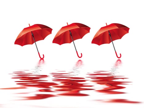 Umbrella