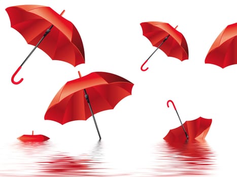 Umbrella