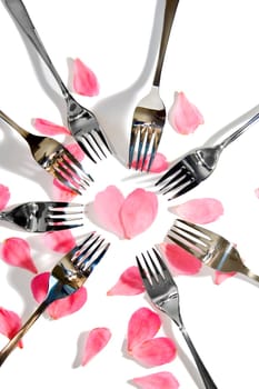 forks surrounding a heart shape petal with rose petals for a concept on romantic dining on white background
