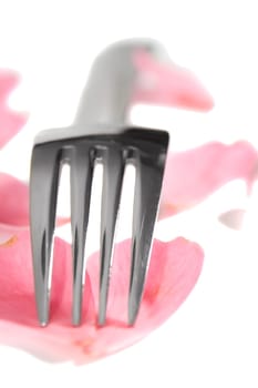 fork with rose petals for concept on romantic dining